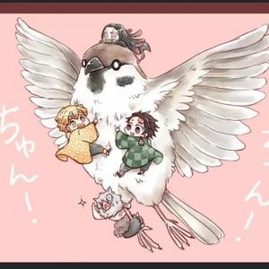 Meet your Posher, Rocio